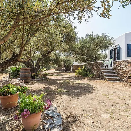 Elaida Apartments Apollonia  Exterior photo