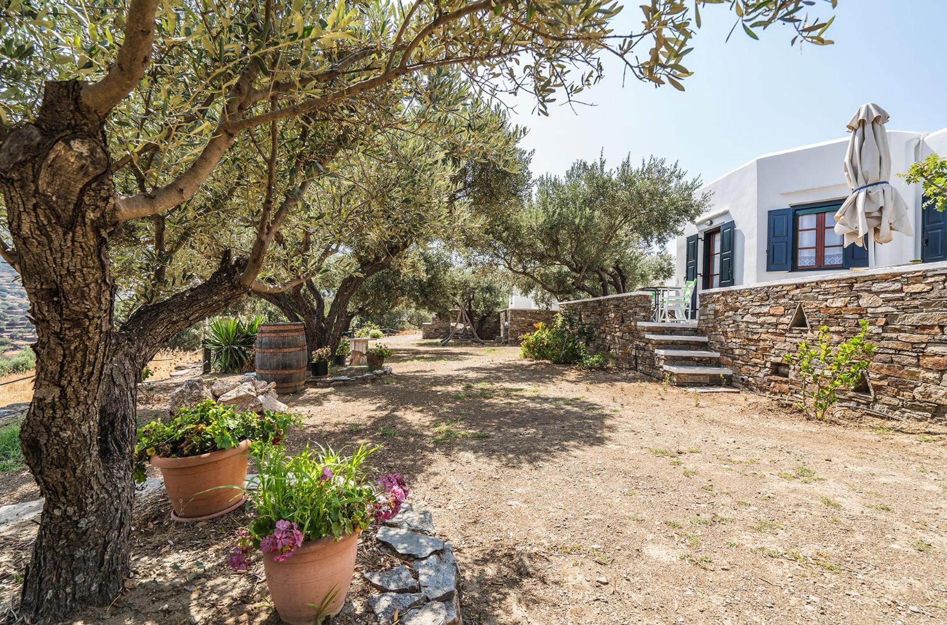 Elaida Apollonia (Sifnos)